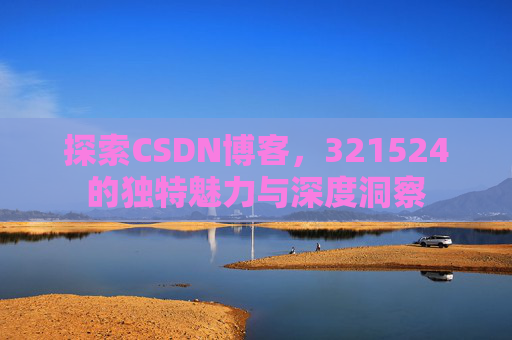 探索CSDN博客，321524的独特魅力与深度洞察